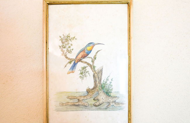 Villa in Rome With Pool & Stunning Views - Foto 21