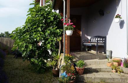 Urlaub im Elsass - Foto 1