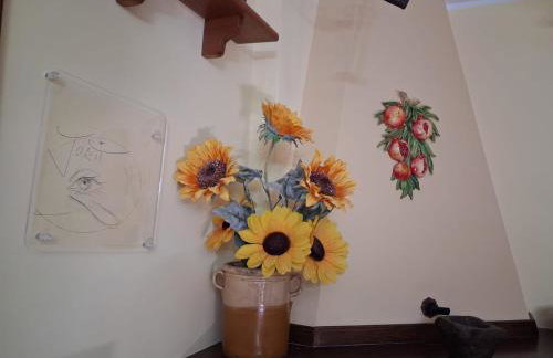 Il girasole - Foto 11