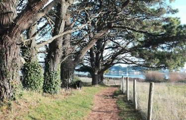 Chalet cosy, plages à pieds. Morbihan. - Foto 22