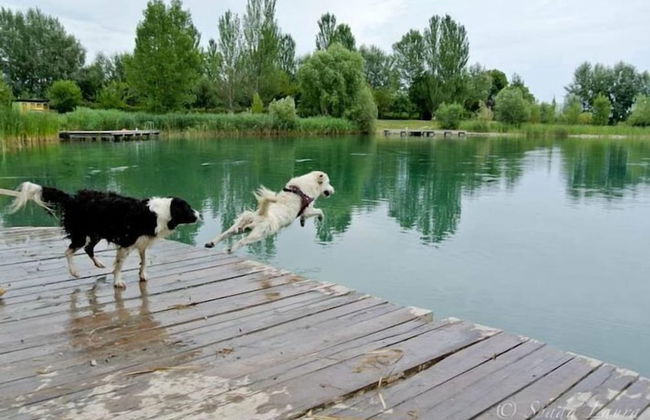 Agriturismo Due Laghi - Foto 18