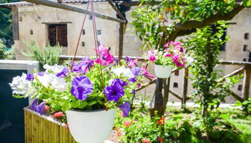 Holiday House Ruocco - Foto 4