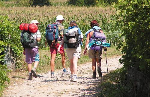 Chalet Loire proche Sancerre - Foto 36