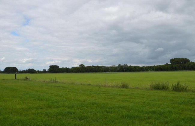 Holiday Home in Holten Near Lake Ijssel - Foto 23