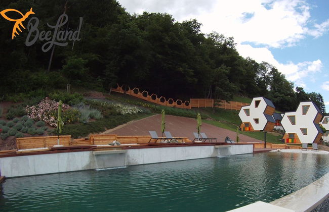 Apartments Beeland Skok Mozirje - Foto 1