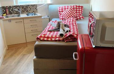 Hotel Waldhorn - Foto 8