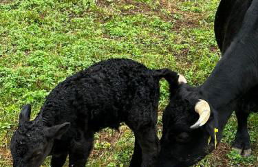 Agriturismo Villa Paradiso Esotico - Photo 8