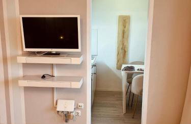 Penthouse studio apartment with terrace near Audi - Photo 17