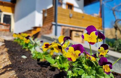 Holiday home DEDINA HIŽICA - Foto 18