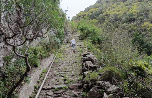 Beautiful 1 Bedroom Apartment with Mountain View - Foto 43