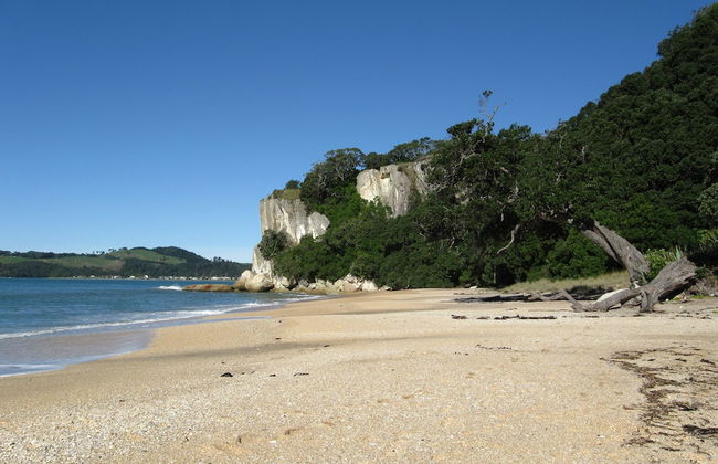 Flaxmill Accommodation - Foto 36