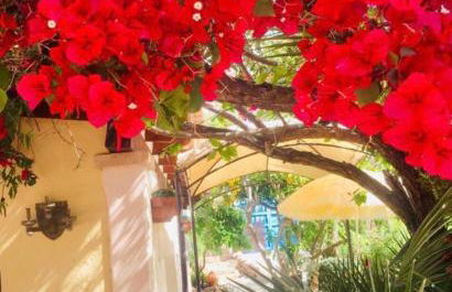 Casita Limón Andratx - Foto 14