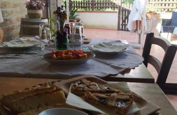 Azienda Agricola Biologica La Cardellina - Foto 7