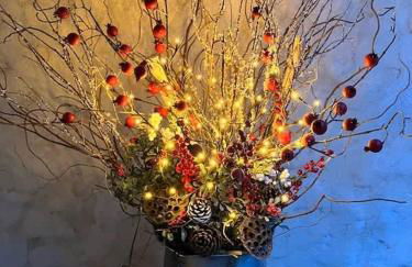 Apeldoorn House - 25 min to downtown Asheville - Foto 26