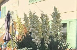 MADI' casa vacanze - Foto 68