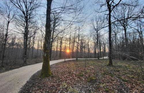 Cabanes en Loire, Gite & SPA en pleine nature - Foto 20