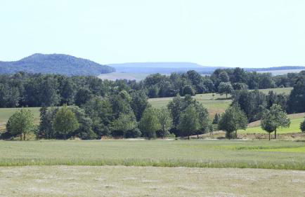 Auszeit mit Weitblick in der Sächsischen Schweiz - kleiner Bauernhof mit Tieren und Wallbox - Foto 23