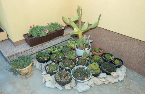 House Lopar (73) - Foto 50