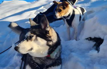 Ferienwohnungen Dorfliebe Dörnberg - Foto 41