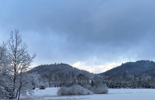 Holiday Hill Karpnki, Domki z sauną, balią i jacuzzi na wyłączność - Foto 21