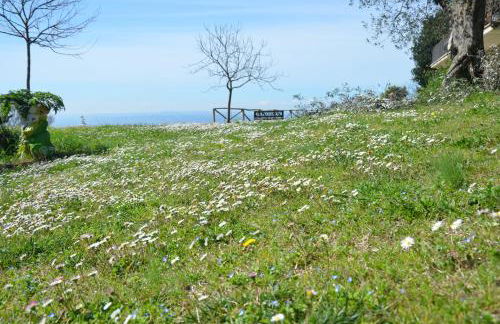 Casa Franceschini - Foto 11