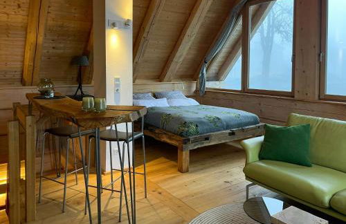 Log Cabin In The Upper Harz Mountains - Foto 20