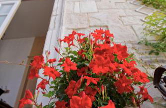 Appart'Hotel Hotel Saint Georges - Photo 20