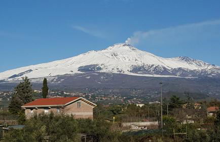 Villa Fini Apartment - Foto 23