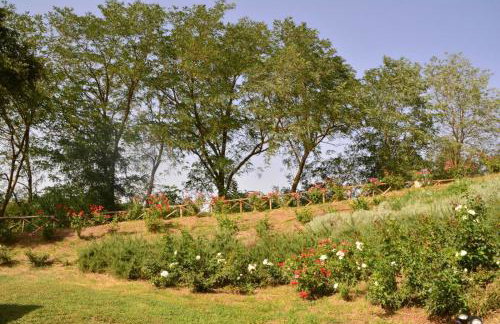 Agriturismo Le Casette Sul Lago - Photo 20