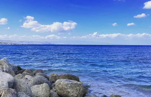 Sharon's Dream House - Photo 46