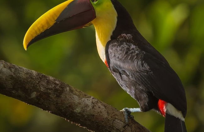 Maze Lodge - Foto 44