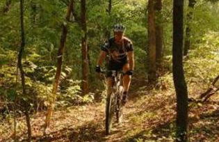 Adventure Awaits 3King Bed,2Bath Log Cabin in heart of Duck Creek Village! - Foto 33