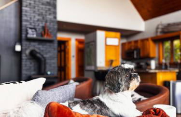 Sunset, Lake and Mtn View, Theater, Hot Tub, Xbox, Close to Sunday River - Foto 15