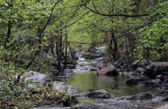 Panorama du Vallespir - Foto 22