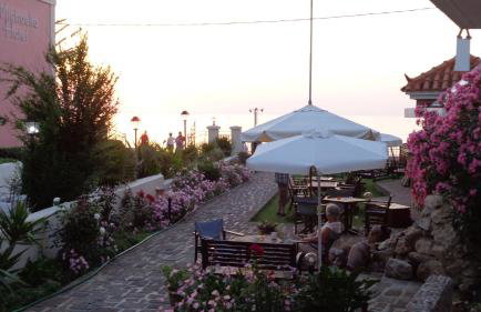 Niki Studios Sea - Front - Photo 17