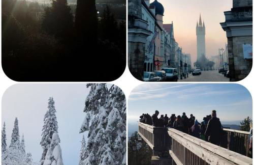 NEU Ferienwohnung im Nationalpark Bayrischer Wald - Foto 22
