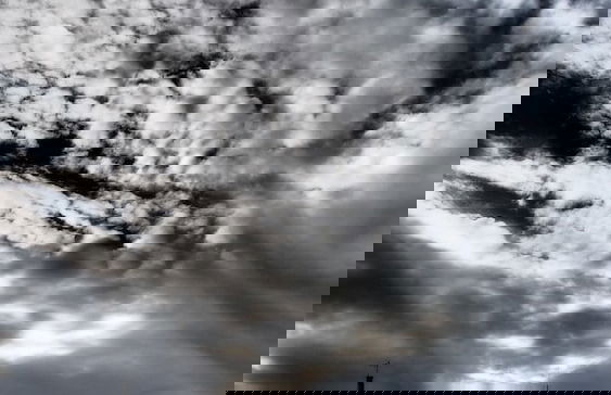 Gray's Inn & Gallery - Foto 24