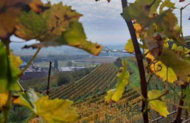 Apartment im alten Rathaus - Foto 19