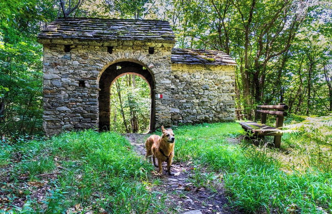 La Torretta 2 sul Lago Maggiore - Photo 44