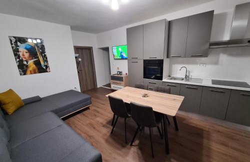 Boutique Apartments Nikola Tesla - Foto 6