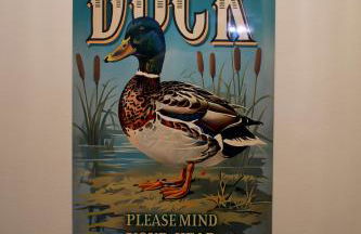 Wood Farm Cottage - Foto 56