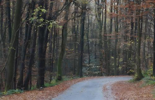 Ferienwohnung am Naturgarten - Foto 13