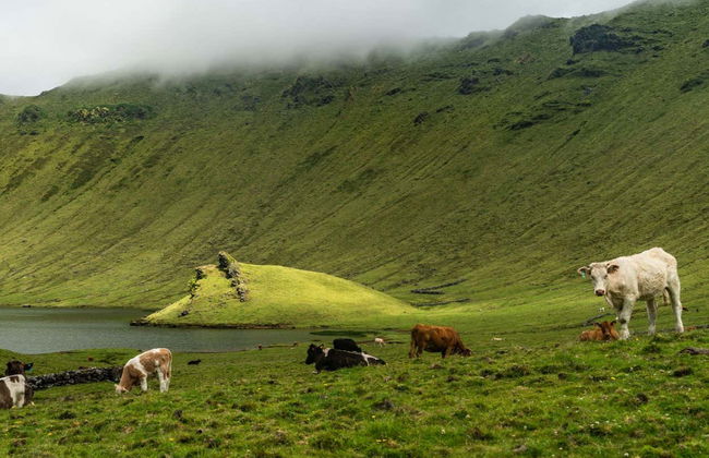 Escursione all'isola di Corvo - Foto 1