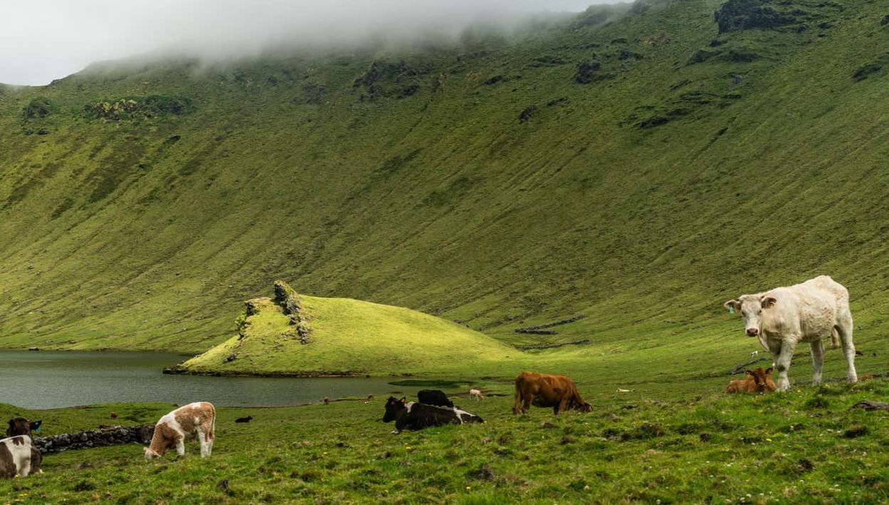 Admirando los verdes parajes de la isla de Corvo