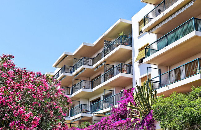 Les Mimosas - Photo 19