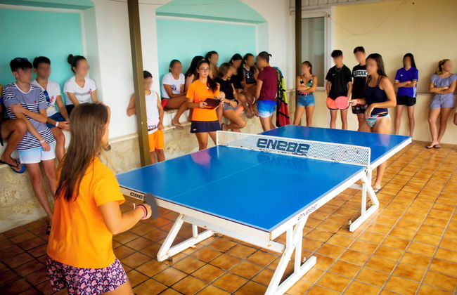 Apartamentos Turísticos Jardines del Plaza - Foto 15