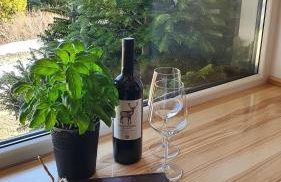 Cerla Korbielów - Domek dla Dwojga - Foto 51