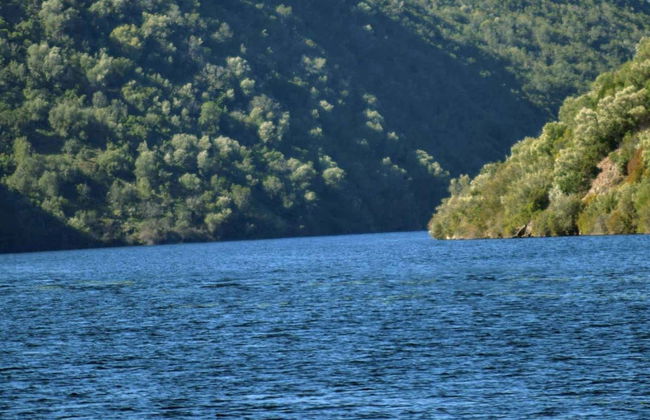 Balade en bateau sur le Tage - Photo 1