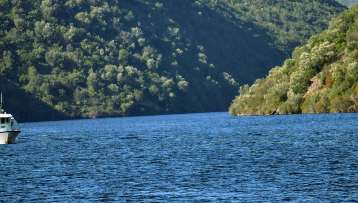 Giro in barca sul fiume Tago