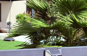 Gîte Le Puech Fario - Photo 37